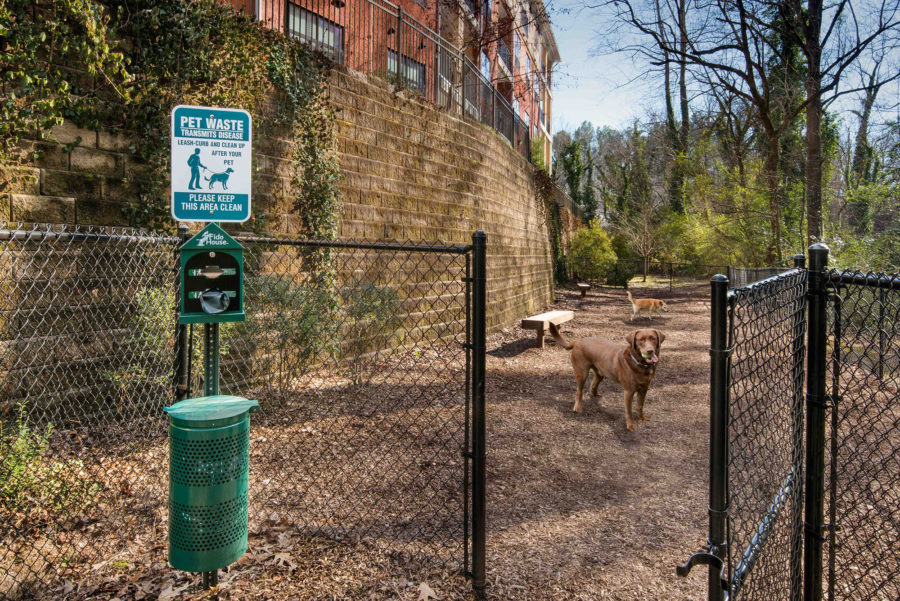 bell-morningside-gallery-atlanta-ga-apartments